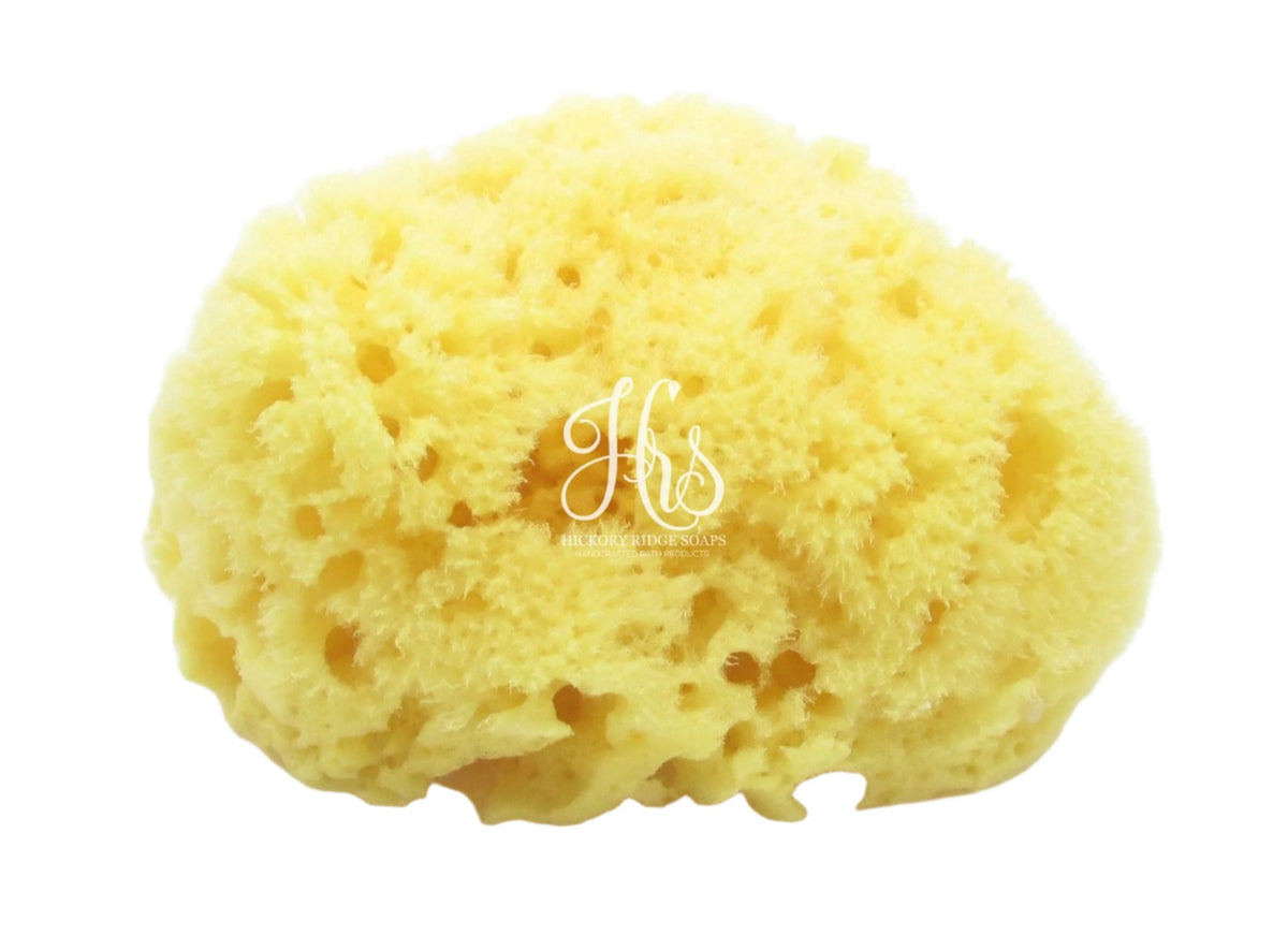 All Natural Dead Sea Sponge sea sponge Hickory Ridge Soap Co.   